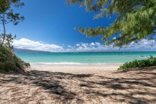 Unit 4 Maui Ohana Modern Studio - Wailuku - 6