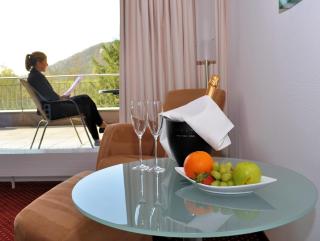 Ringhotel Zweibruecker Hof - 6