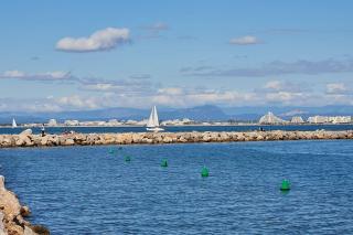 Marie Galante la plage au bout du chemin ! - 4