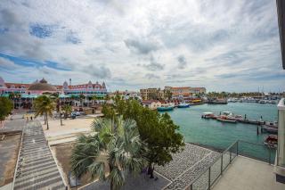 You Will Aloe Vera Much This Studio - Oranjestad - 0