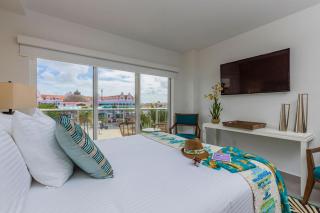 You Will Aloe Vera Much This Studio - Oranjestad - 5