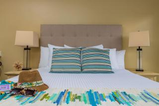 You Will Aloe Vera Much This Studio - Oranjestad - 4