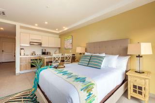 You Will Aloe Vera Much This Studio - Oranjestad - 3