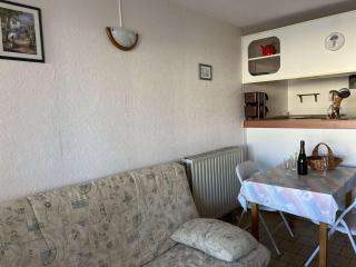 Studio Cabine Calme Proche Plage et Commerces, Animaux Admis - FR-1-702-44 - 5