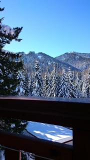 TES Rila Park Apartments - Borovets - 7