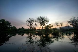 Leopard Trails Yala - Yala - 5