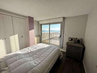 Quiberon - Appartement 2 pièces, terrasse, animaux permis, parking - FR-1-478-54 - Quiberon - 9