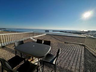 Quiberon - Appartement 2 pièces, terrasse, animaux permis, parking - FR-1-478-54 - Quiberon - 1