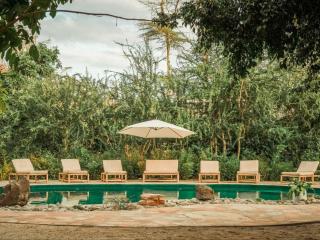 The Jungle Pearl Resort - Mto wa Mbu - 0