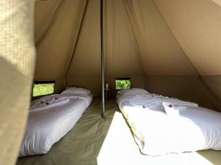 The Jungle Pearl Resort - Mto wa Mbu - 1