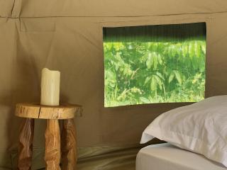 The Jungle Pearl Resort - Mto wa Mbu - 3