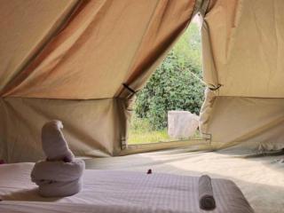 The Jungle Pearl Resort - Mto wa Mbu - 5