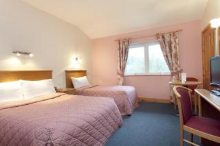 Woodenbridge Hotel - Arklow - 9