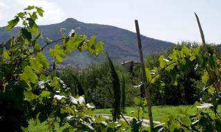 Al Palazzaccio - Calci - 1