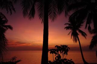FRONT BEACH BUNGALOW - OUTDOOR SHOWER - Working Desk - Koh Samui - 7