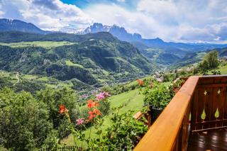 Bio Kräuterhof Oberpalwitter - 6