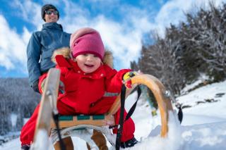 Hotel Gasthof Hinteregger - Bad Kleinkirchheim - 7