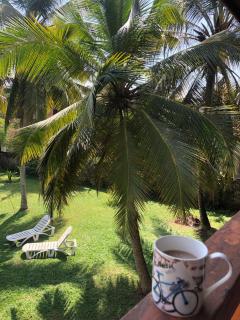 Candle House - Kalutara North - 0