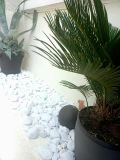 Le marbré de Vendargues - 8