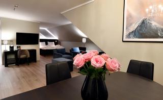 Thon Partner Hotel Baronen - 9
