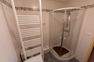 Warm 29m with balcony and lake view - Gérardmer - 1