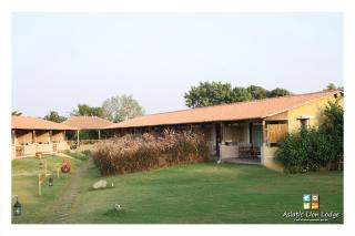 Asiatic Lion Lodge - 0