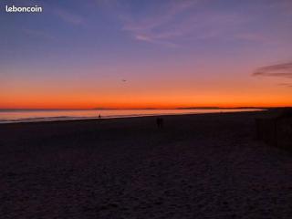 Au Thalassa - 3min Plage - CLIM - TERRASSE - WIFI - La Grande-Motte - 1
