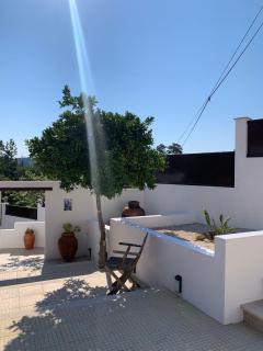Casa Da Oliveira - Pedrógão Grande - 1