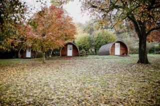 Caplor Glamping & Lodges - Hereford - 1