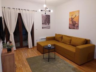 Apartman SiL Zlatibor - Zlatibor - 5