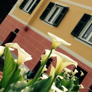 BBQ Lodge - Camogli - 6