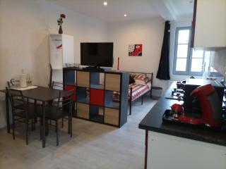 Studio entre château et Vilaine a Vitré - Vitré - 1