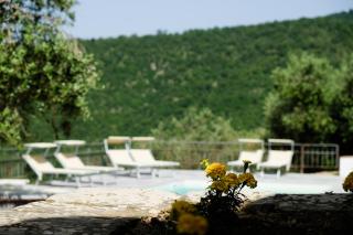 Agriturismo Antico Loggiato - Pontassieve - 2