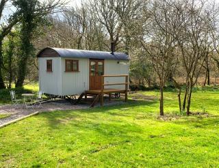 Lilliput - Delightful 1-bedroom shepherd's hut - Holsworthy - 0