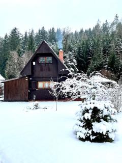 Charming cottage KLARA with Sauna, Nature&Privacy near Prague - Malé Kyšice - 4