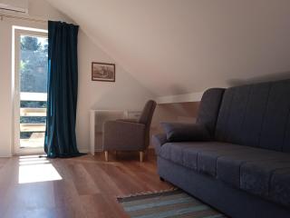 Seoski turizam Stari mlin na Korani apartment 1 - Karlovac - 9