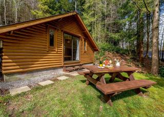 Bulworthy Forest Lodges - Instow - 2