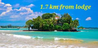Green Lodge - Weligama - 1