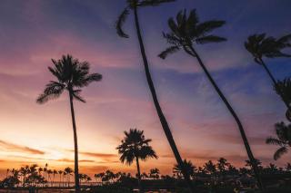 Waikoloa Beach Marriott Resort & Spa - Waikoloa - 3