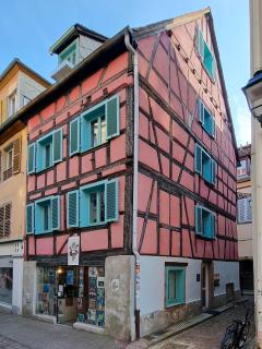 Travel Homes - NewGate 1, elegant, heart of Colmar - 1