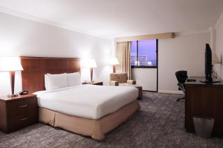 Ontario Airport Hotel & Conference Center - Ontario - 5