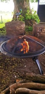 Loughmourne Glamping Pod - - 3