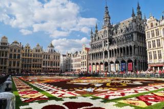 Guesthouse Marie Therese - Bruxelles - 4