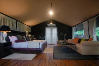 Leopard Trails Yala - Yala - 9