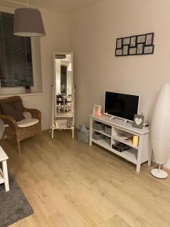 Útulný apartmán na Dolní Moravě - Dolní Morava - 2