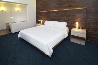 Holiday Inn Express San Luis Potosí by IHG - San Luis Potosí - 0