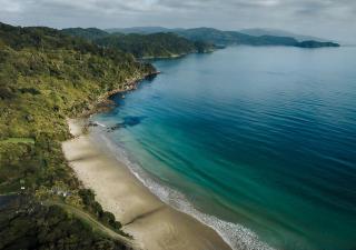 Hananui PurePod - Stewart Island - 3