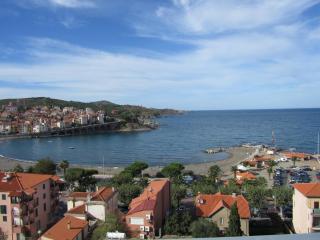 Studio face à la mer avec terrasse et parking - FR-1-309-44 - Banyuls-sur-Mer - 0