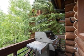 New! Chic European Style Cabin, Short Walk To Ski home - 1