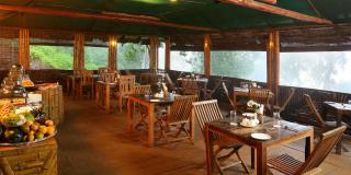 Nature Zone Jungle Resort - Munnar - 7